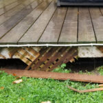 pest control vancouver