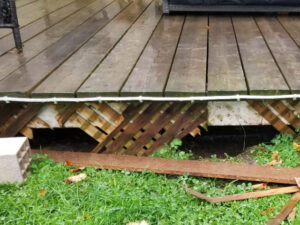 pest control vancouver