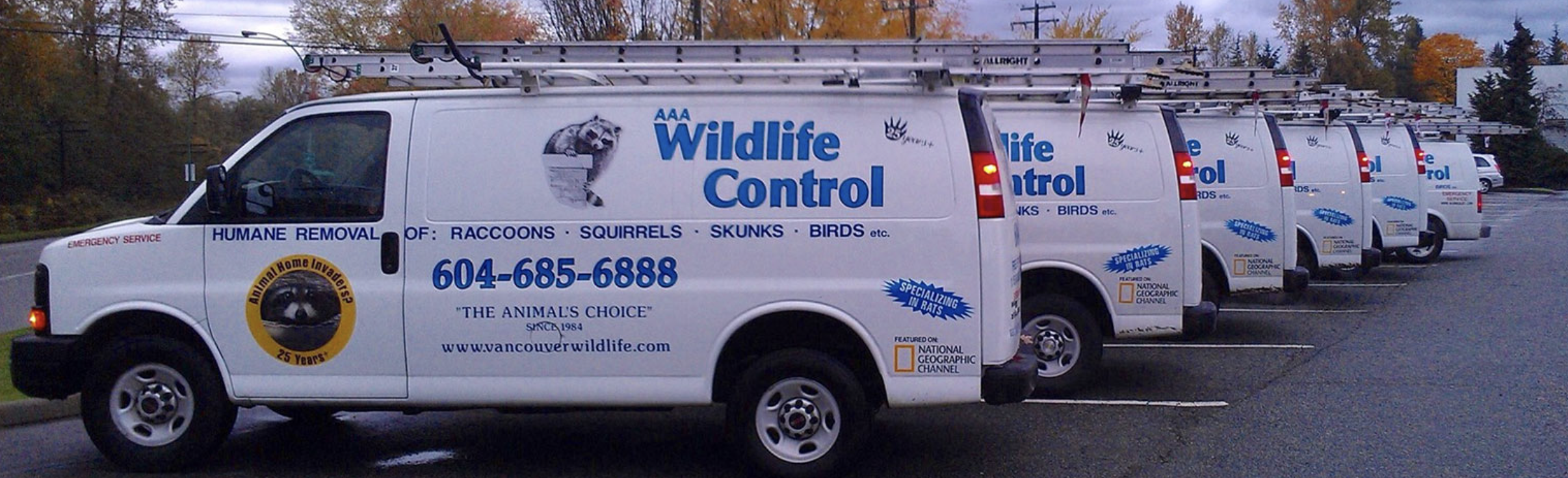 wildlife removals