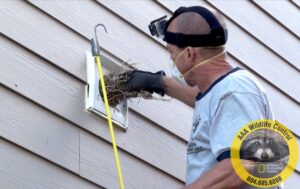 Vancouver Wildlife Control Expert