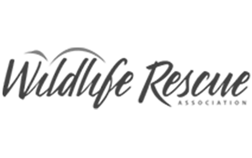 wildlife-rescue-logo